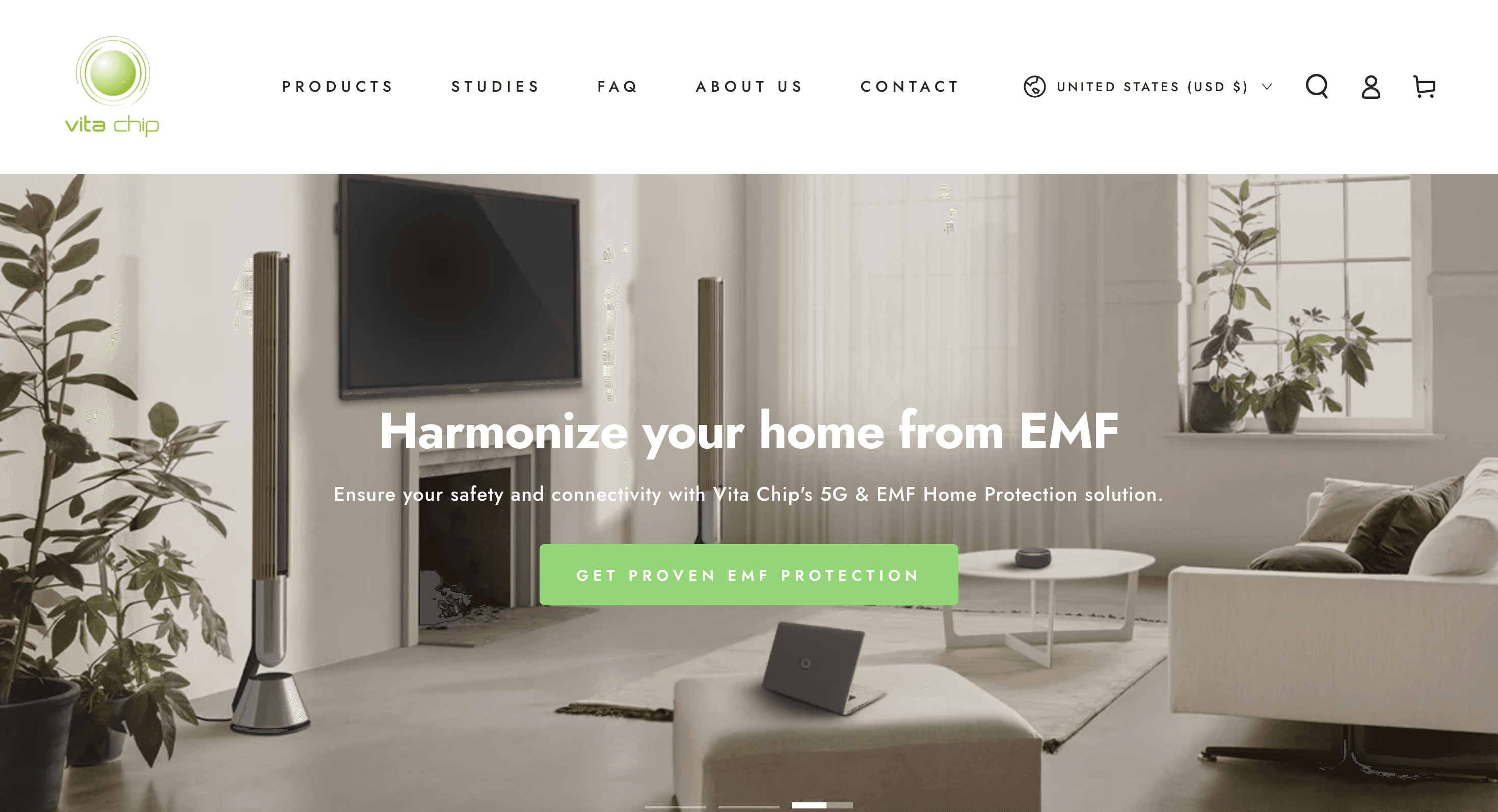 Project VitaChipus: Health Supplement Brand on Shopify